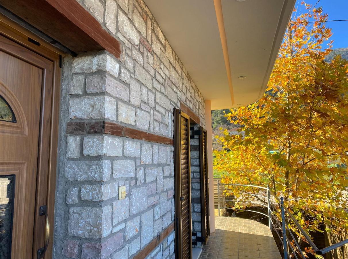 Apartment Lithotomia